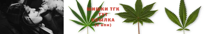 тгк Медногорск