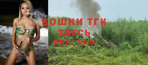 ешки Михайлов