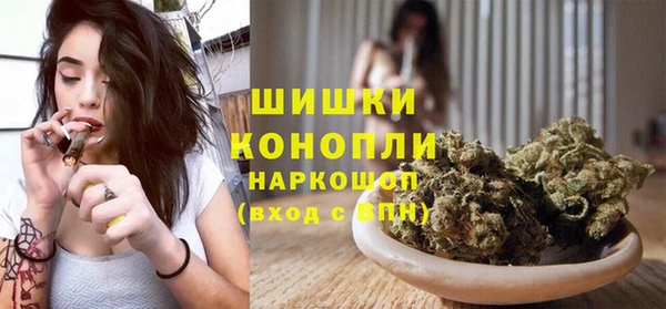 ешки Михайлов